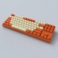 Orange 104+41 Cherry Profile ABS Doubleshot Keycaps Set Side Legends for Cherry MX Mechanical Gaming Keyboard